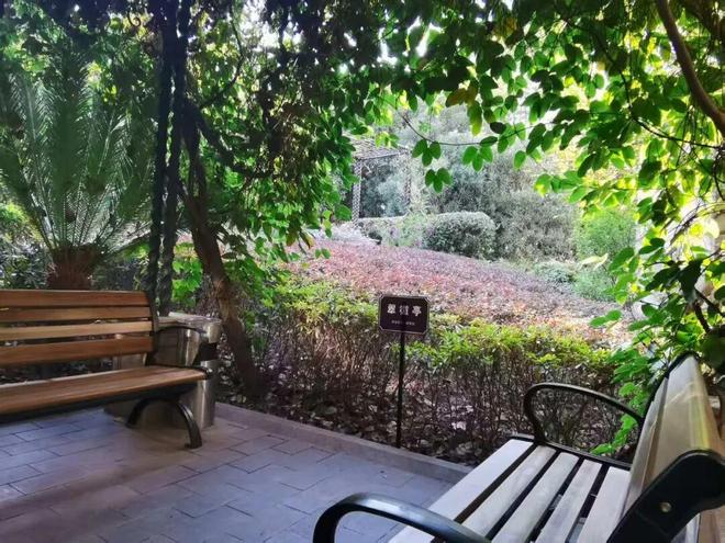 Kaiyun体育网站：从假山杂草到“山水雅趣”看这个小区如何把日子过成诗(图3)