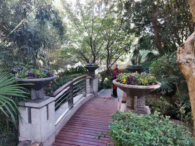 Kaiyun体育网站：从假山杂草到“山水雅趣”看这个小区如何把日子过成诗(图4)