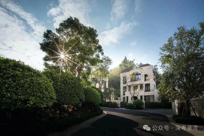 好房热搜华发山庄售楼处发布：打造未来品质生活(图20)