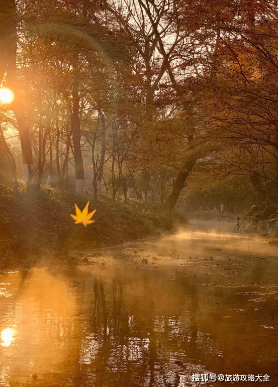 苏杭5天4晚私人定制小团游跟团费用5日游路线+景点旅游攻略！(图3)