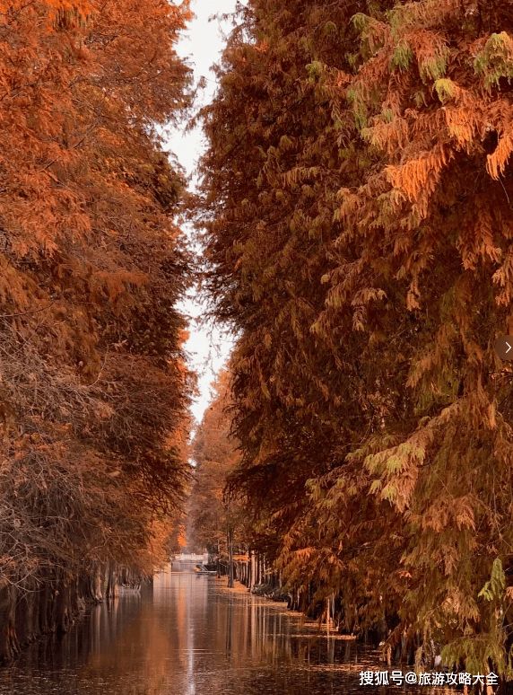 苏杭5天4晚私人定制小团游跟团费用5日游路线+景点旅游攻略！(图1)